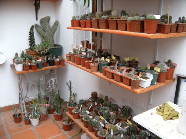 DSCN3054.JPG