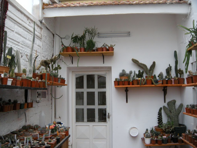 DSCN3055.JPG