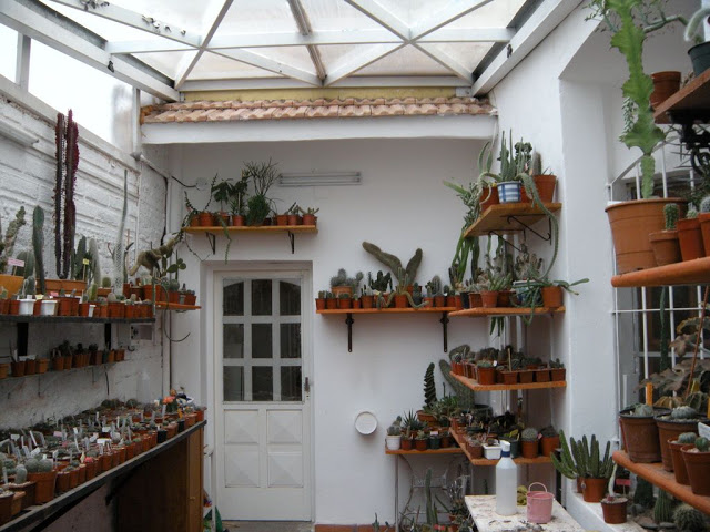 DSCN3056.JPG