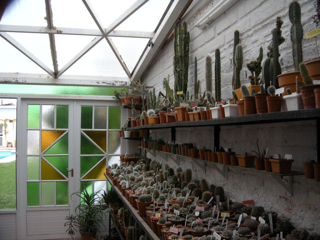 DSCN3057.JPG