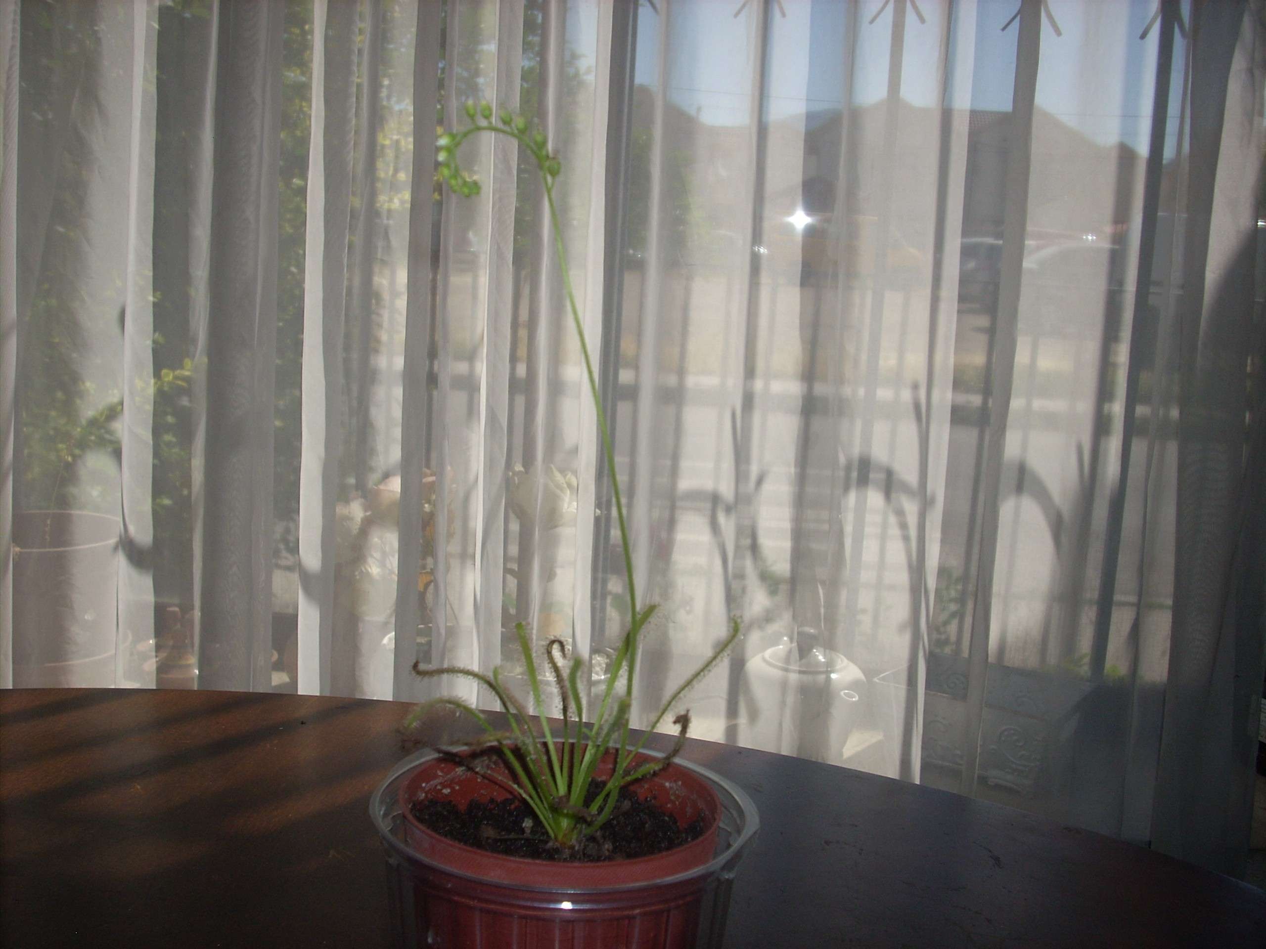 dscn3115.jpg