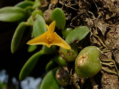 DSCN3141.JPG