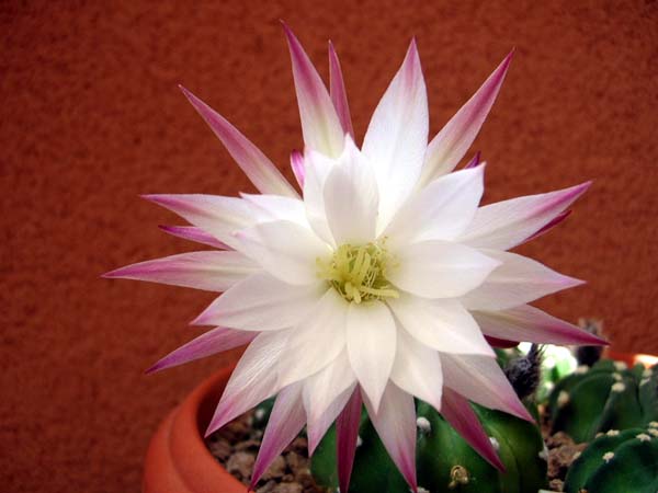 DSCN3168.JPG