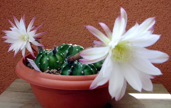 DSCN31701.JPG