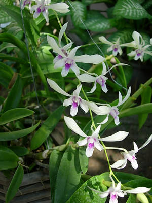 DSCN3171.JPG