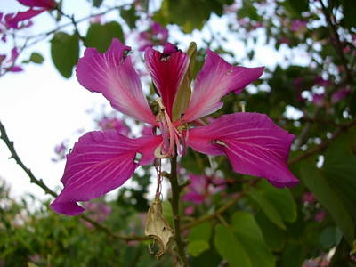 DSCN3188.JPG