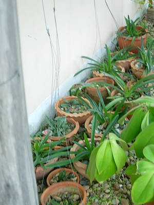 DSCN3200.JPG