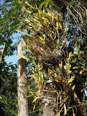 DSCN3209.JPG