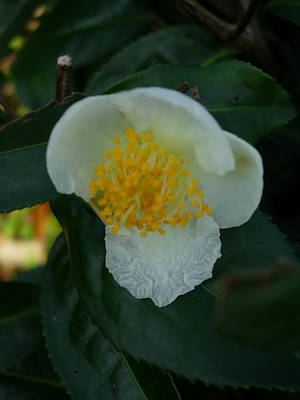 DSCN3228.JPG
