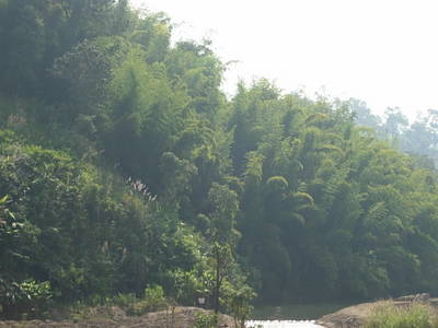 DSCN3234.JPG