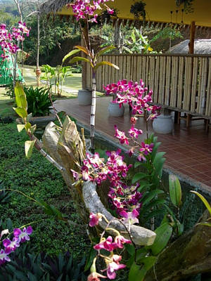 DSCN3241.JPG