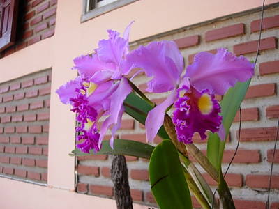 DSCN3245.JPG