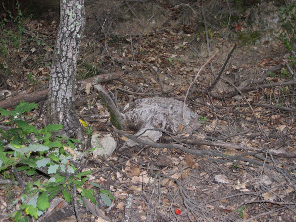DSCN3270.jpg