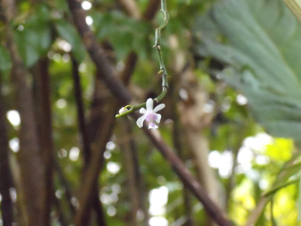 DSCN3288.jpg