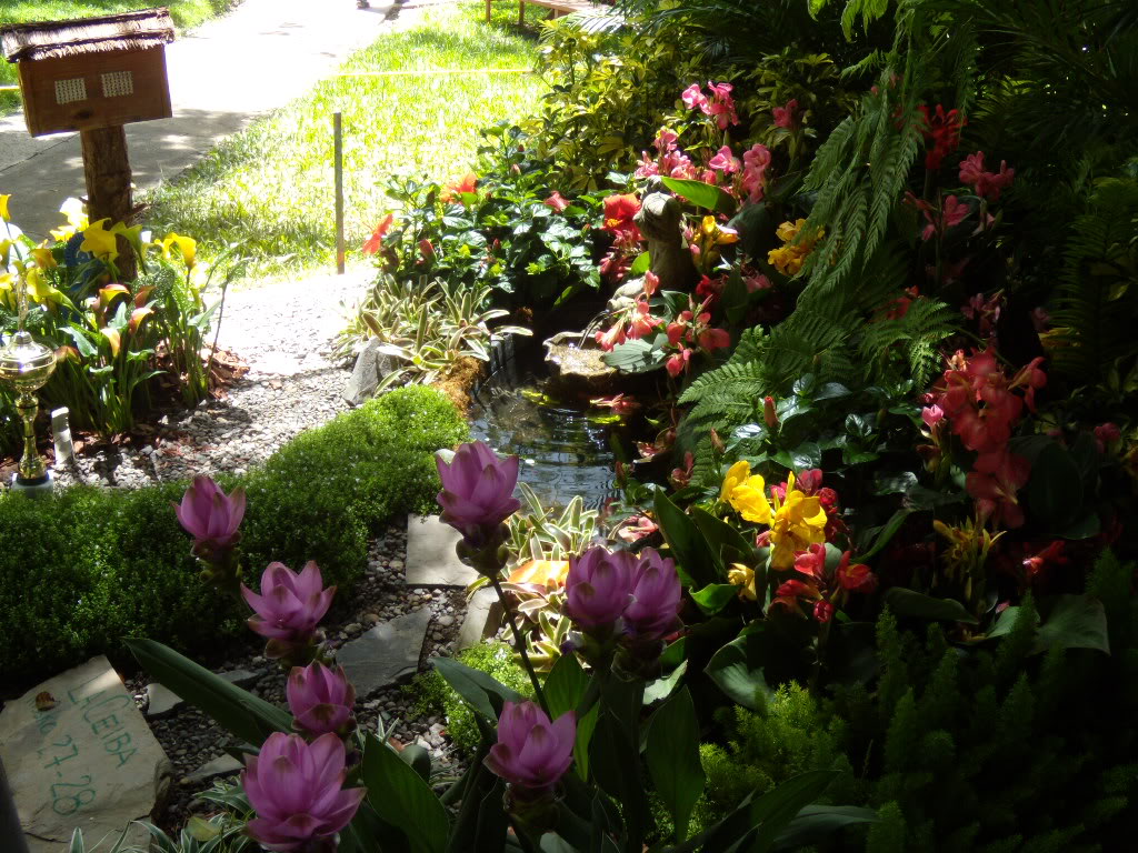 DSCN3318.jpg
