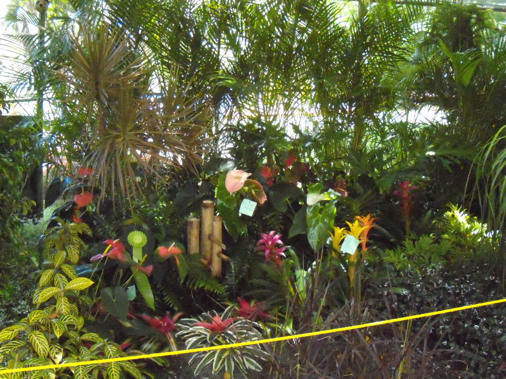 DSCN3319.jpg