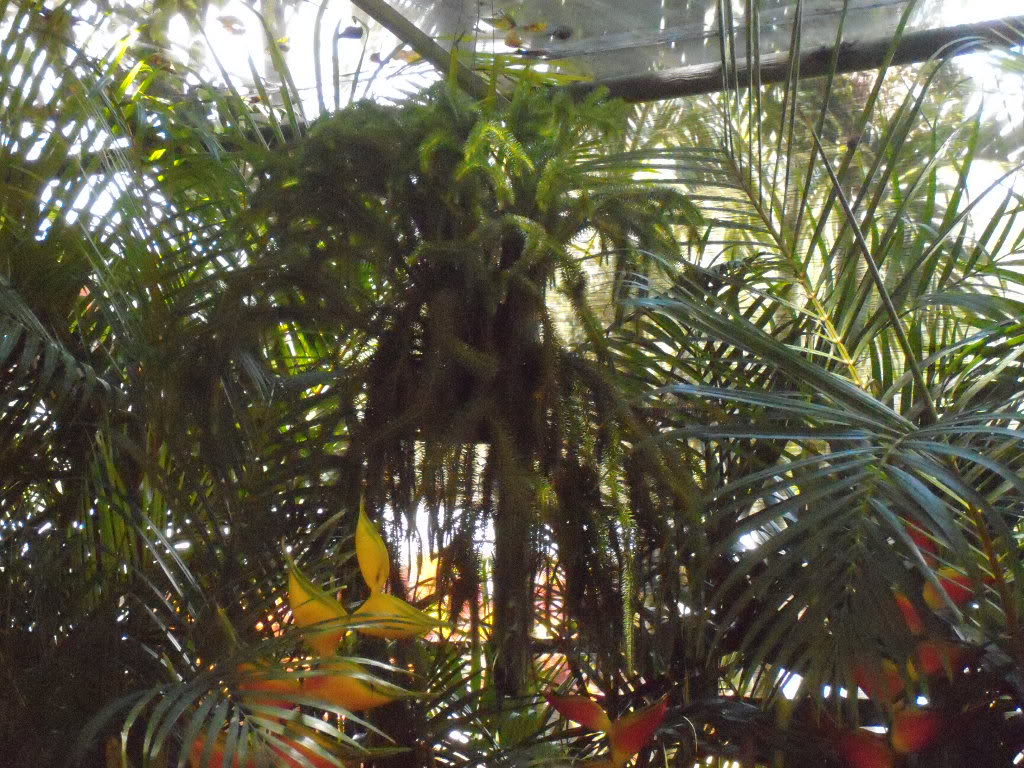 DSCN3322.jpg