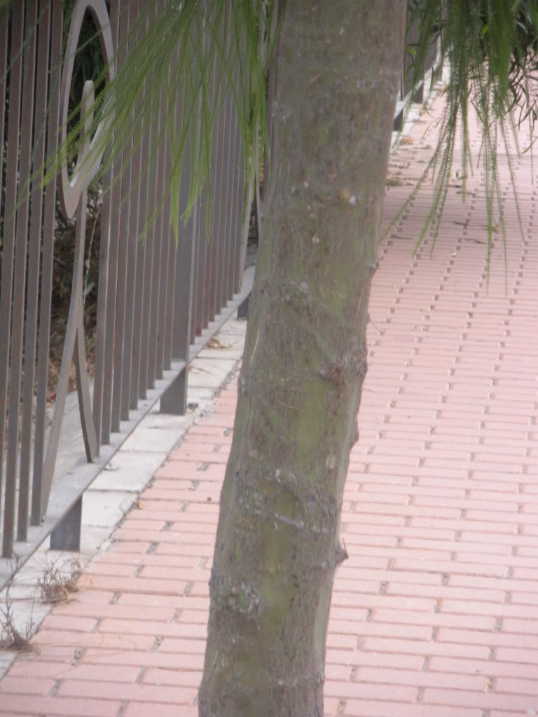 DSCN3326.jpg