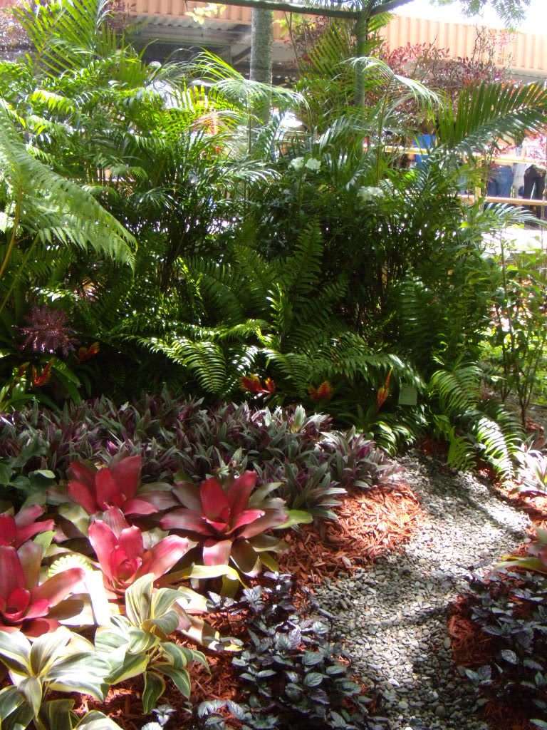 DSCN3327.jpg