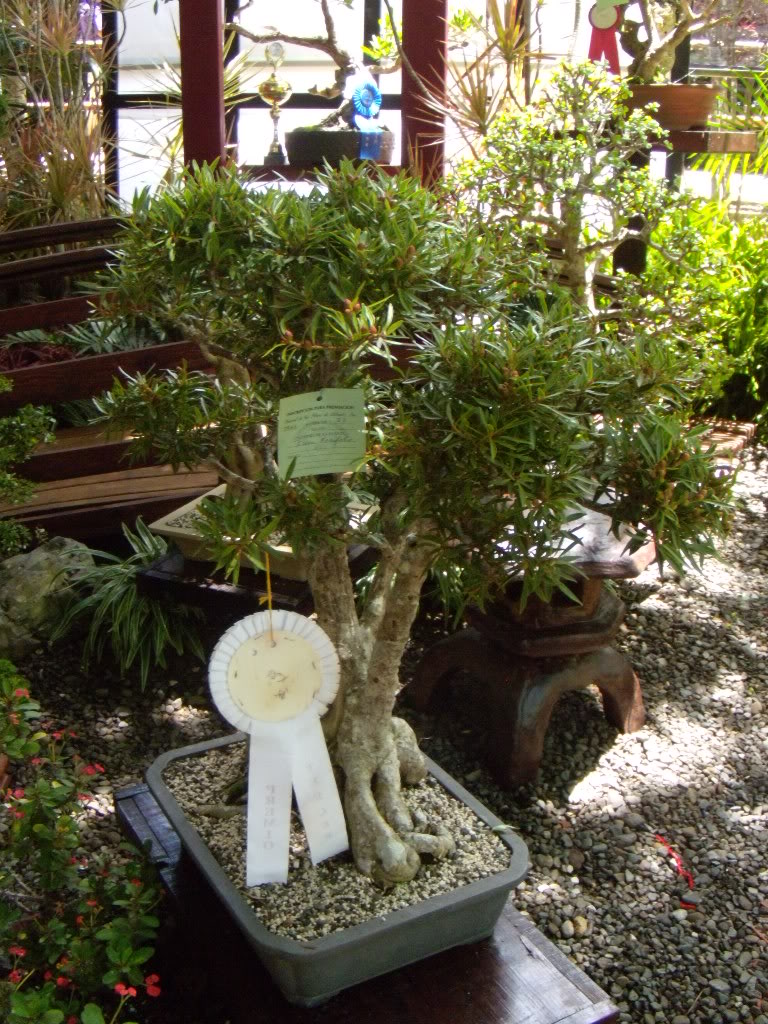 DSCN3328.jpg