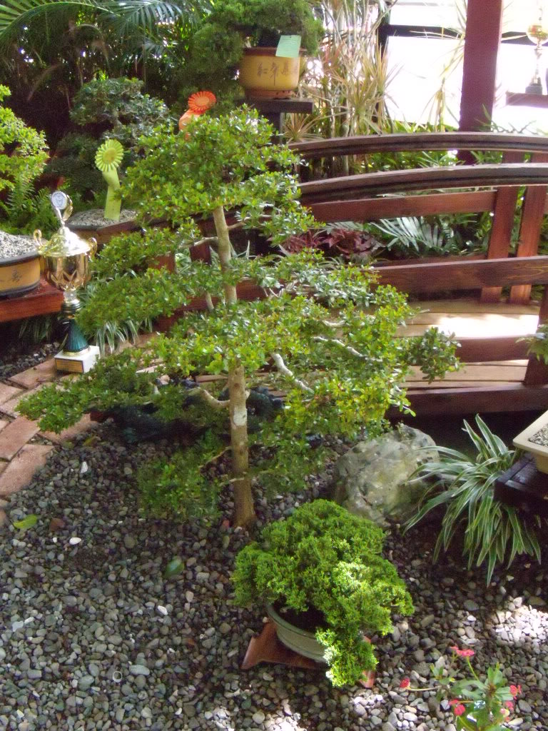 DSCN3329.jpg