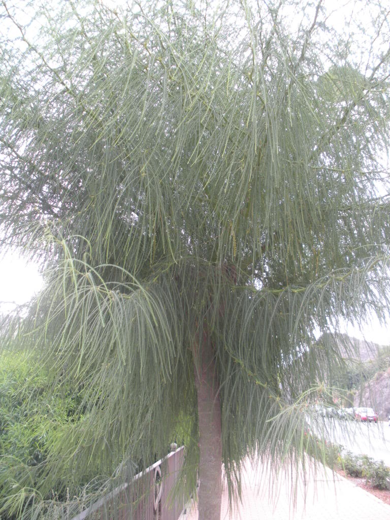 DSCN3329.jpg