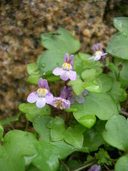 DSCN3330.jpg
