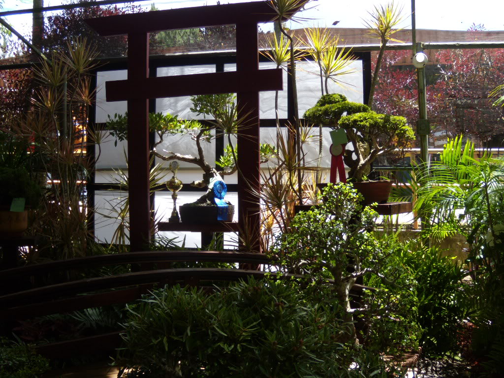 DSCN3331.jpg
