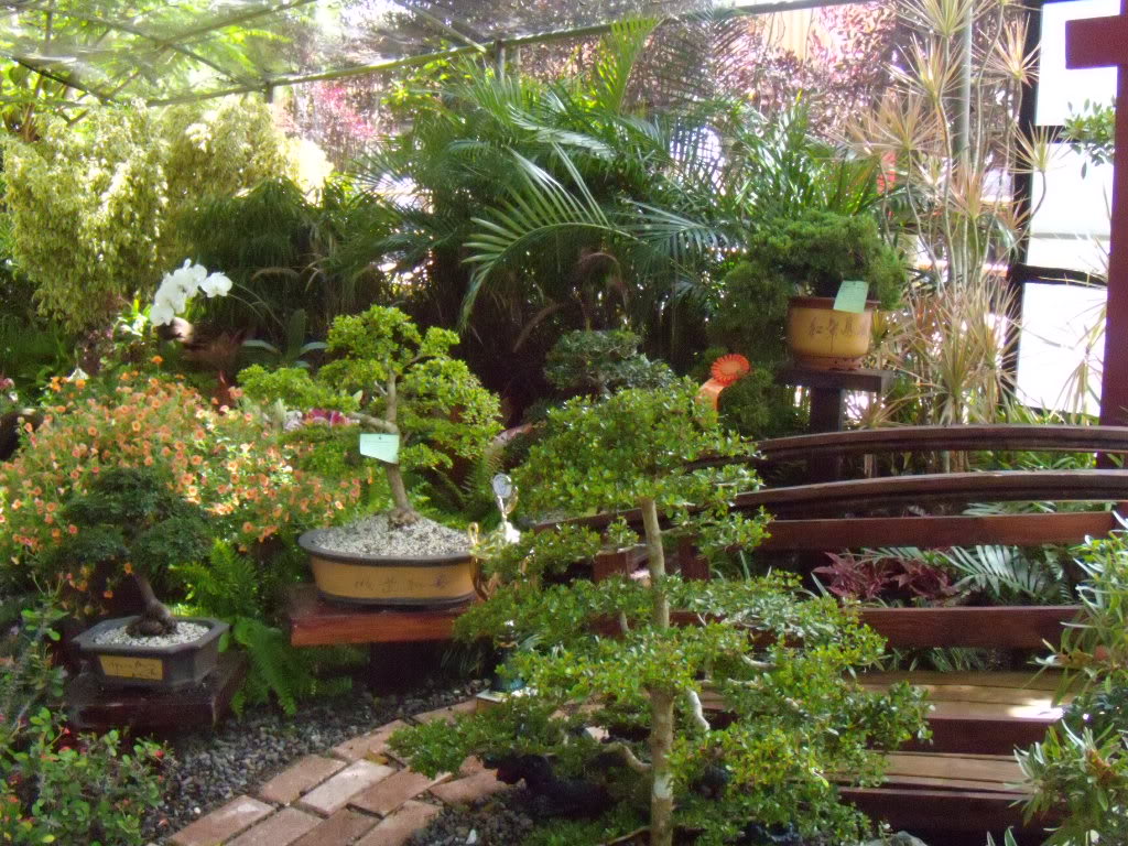 DSCN3332.jpg