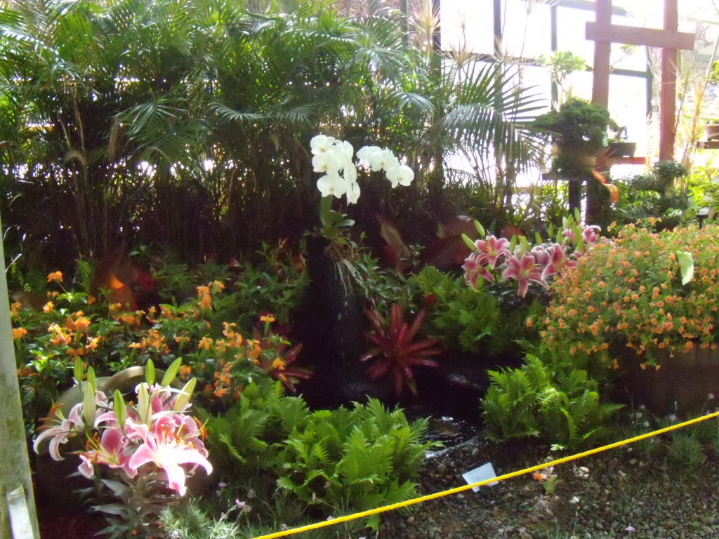 DSCN3333.jpg