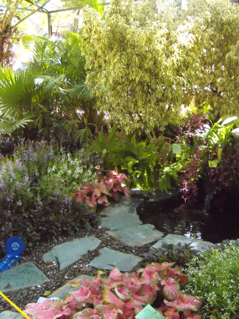 DSCN3335.jpg