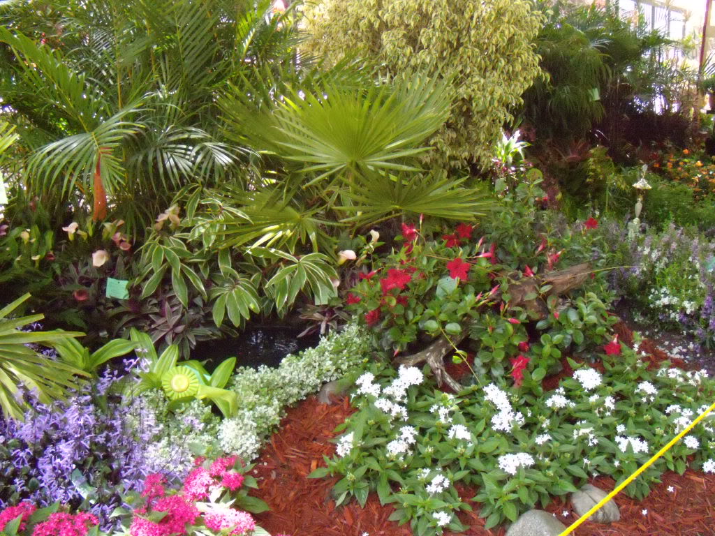 DSCN3337.jpg