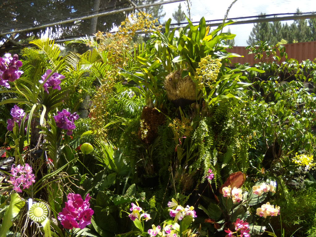 DSCN3341.jpg