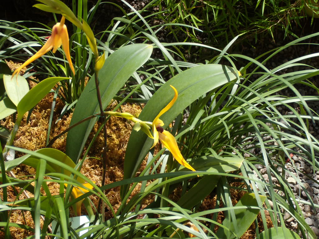 DSCN3342.jpg