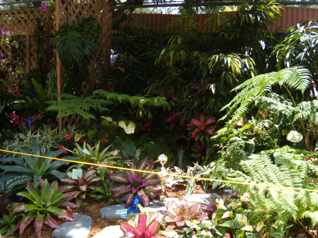DSCN3344.jpg