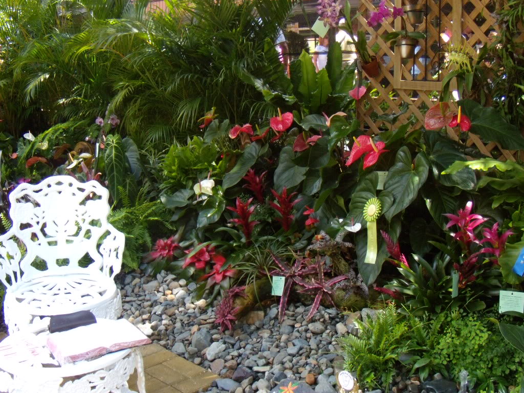 DSCN3346.jpg