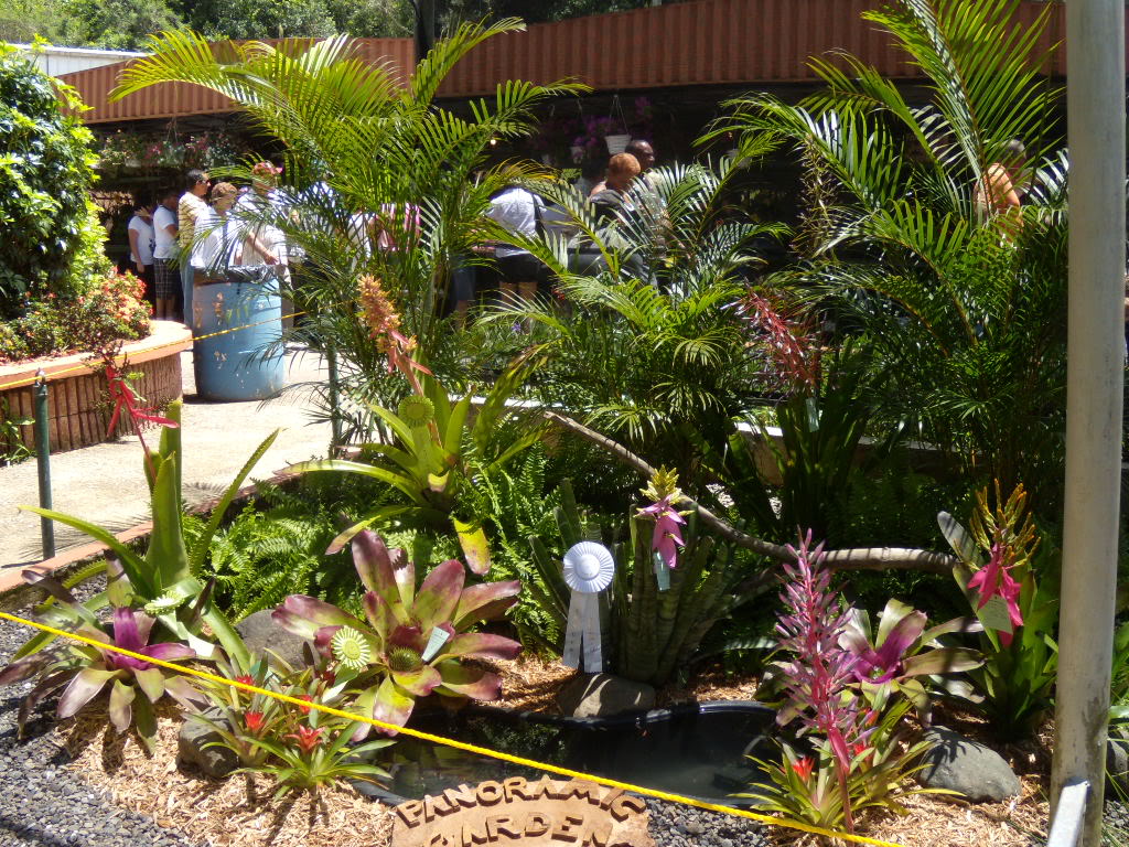 DSCN3348.jpg