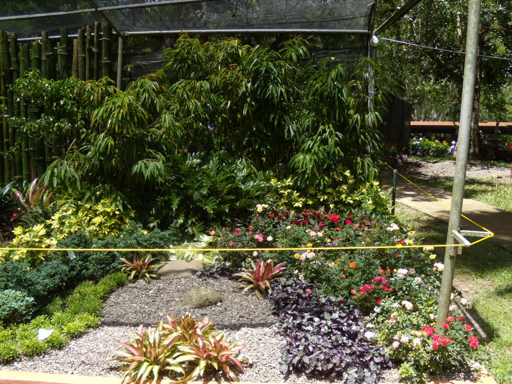 DSCN3349.jpg