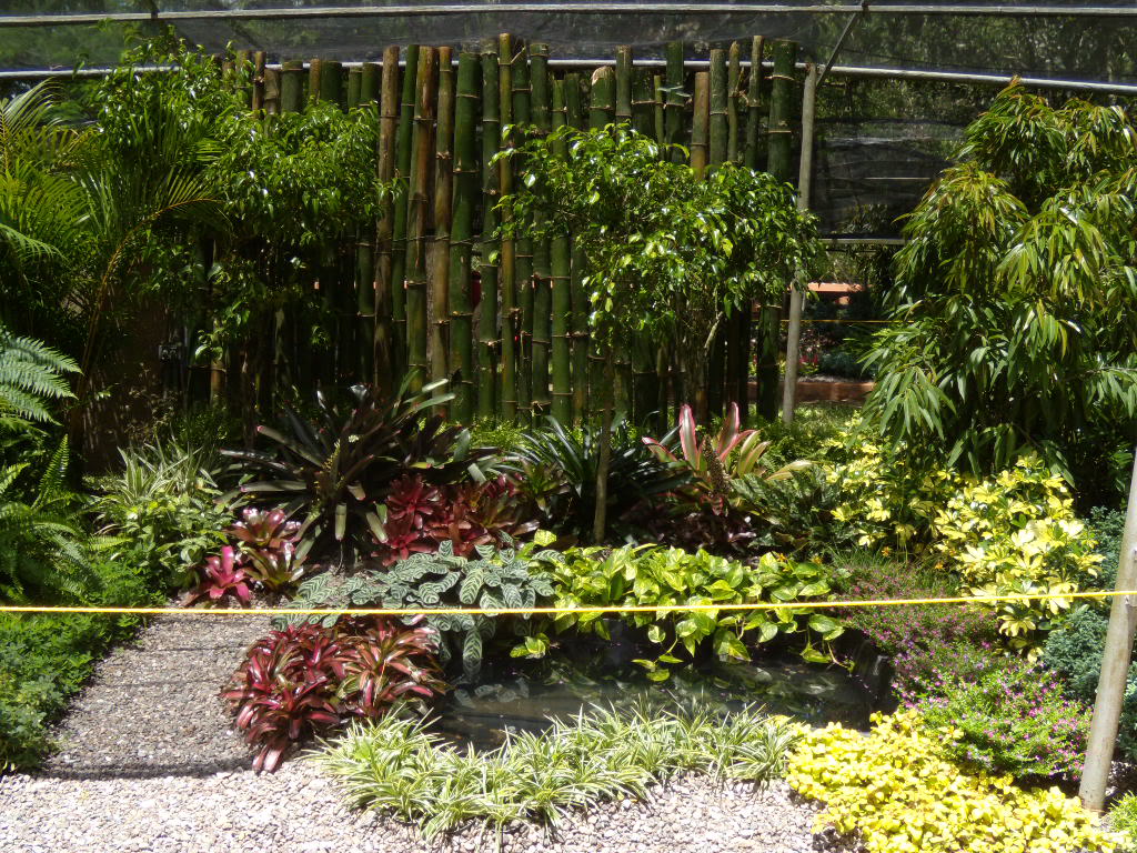 DSCN3350.jpg