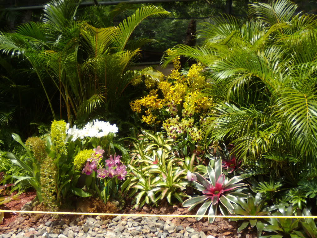 DSCN3351.jpg