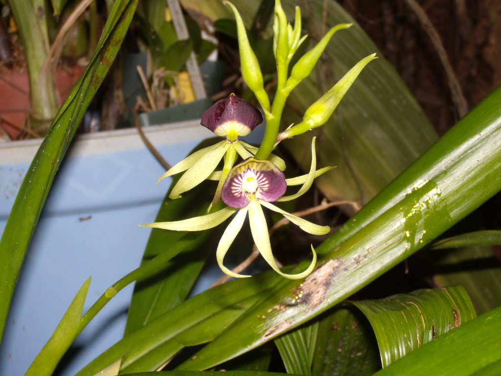 DSCN3352.jpg
