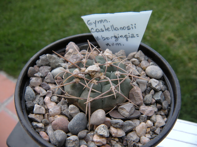 DSCN3372.JPG
