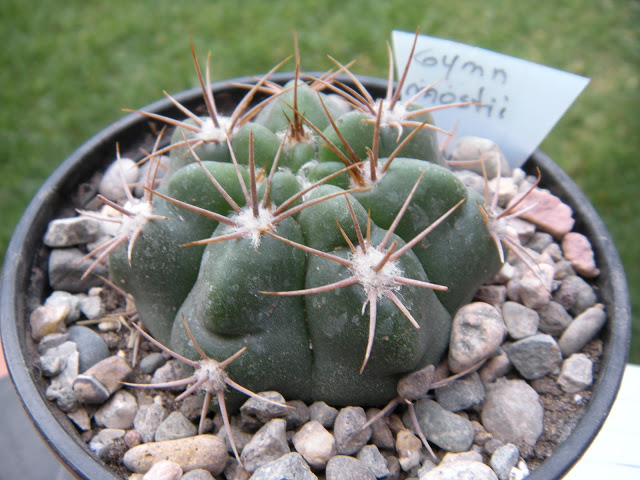 DSCN3374.JPG