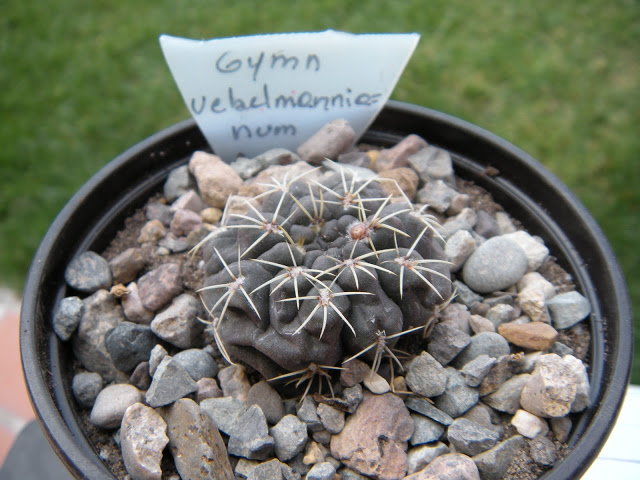 DSCN3376.JPG