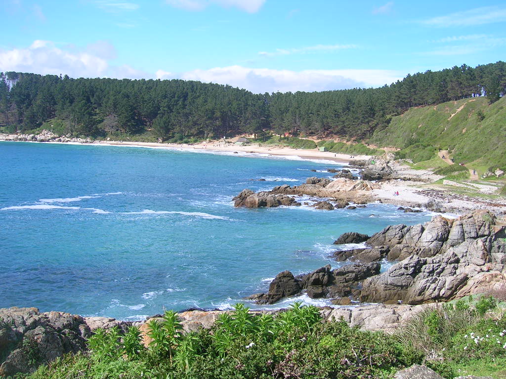 DSCN3378.jpg