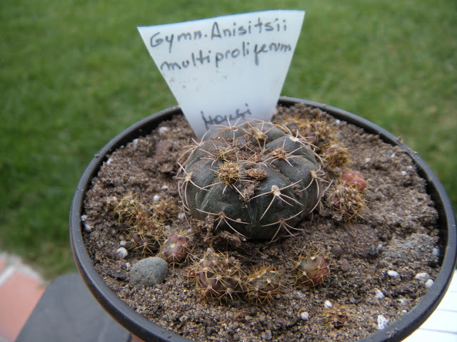 DSCN3378.JPG