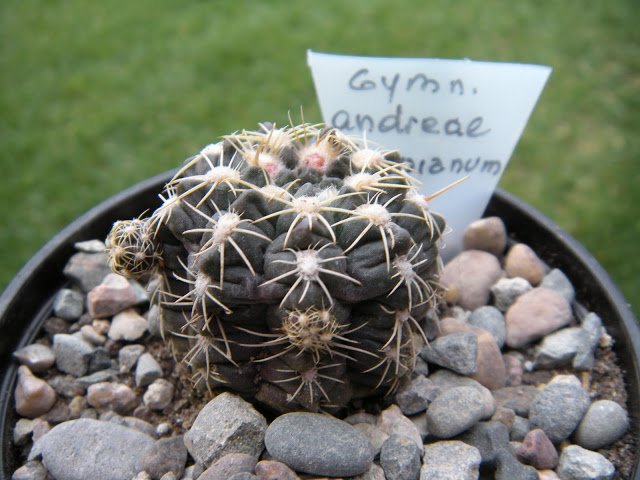 DSCN3379.JPG