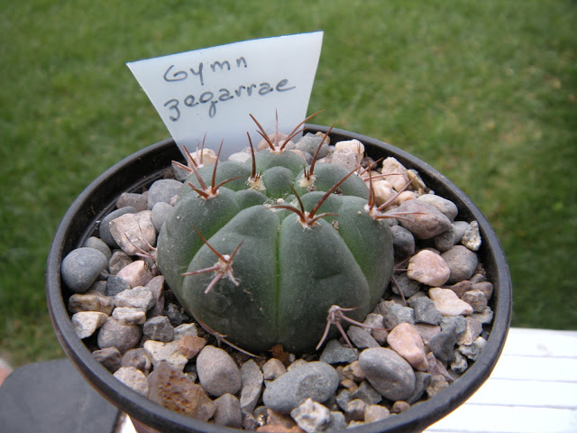 DSCN3380.JPG