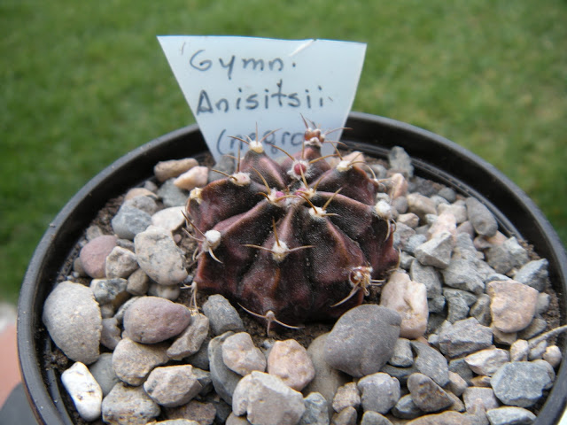 DSCN3381.JPG