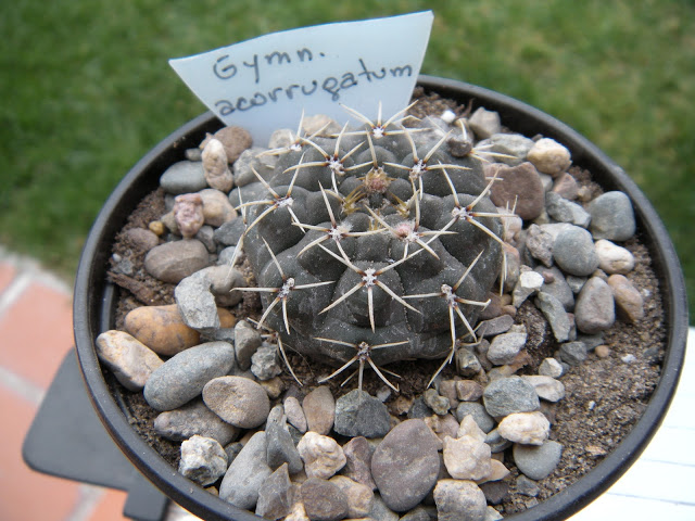 DSCN3382.JPG